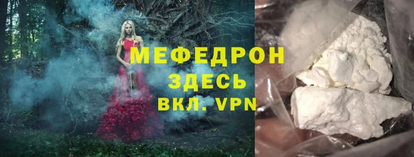 молекула духа Протвино