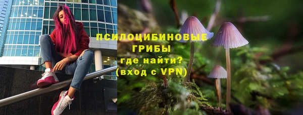 бошки Аркадак